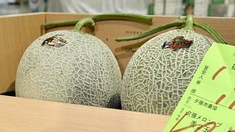 Nhật Bản: Cặp dưa lưới lập kỷ lục bán đấu giá