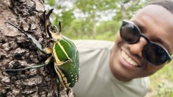 Angola: Phát hiện hàng chục loài sinh vật mới chưa từng được biết đến