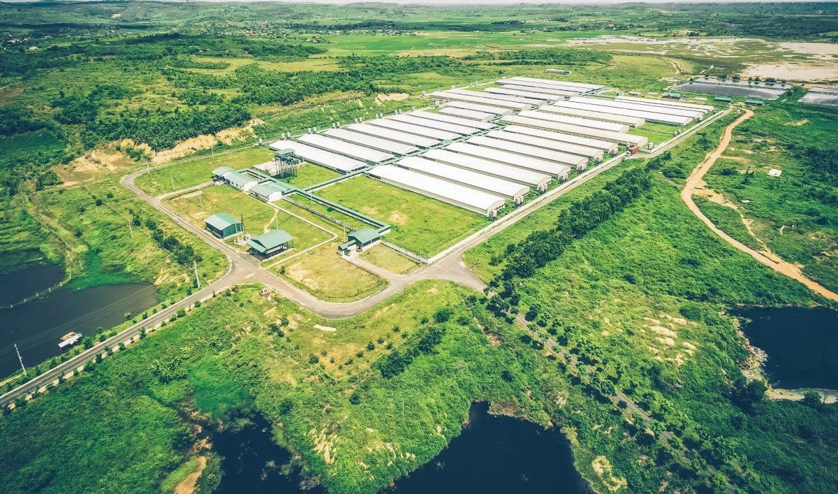 Greenfeed hai lần được vinh danh tại Vietnam I4 Impact Awards 2026