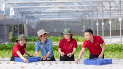 Từ khát vọng cứu nước đến khát vọng phát triển đất nước - Agribank tự hào tiếp nối hành trình phụng sự vì một Việt Nam hùng cường, thịnh vượng