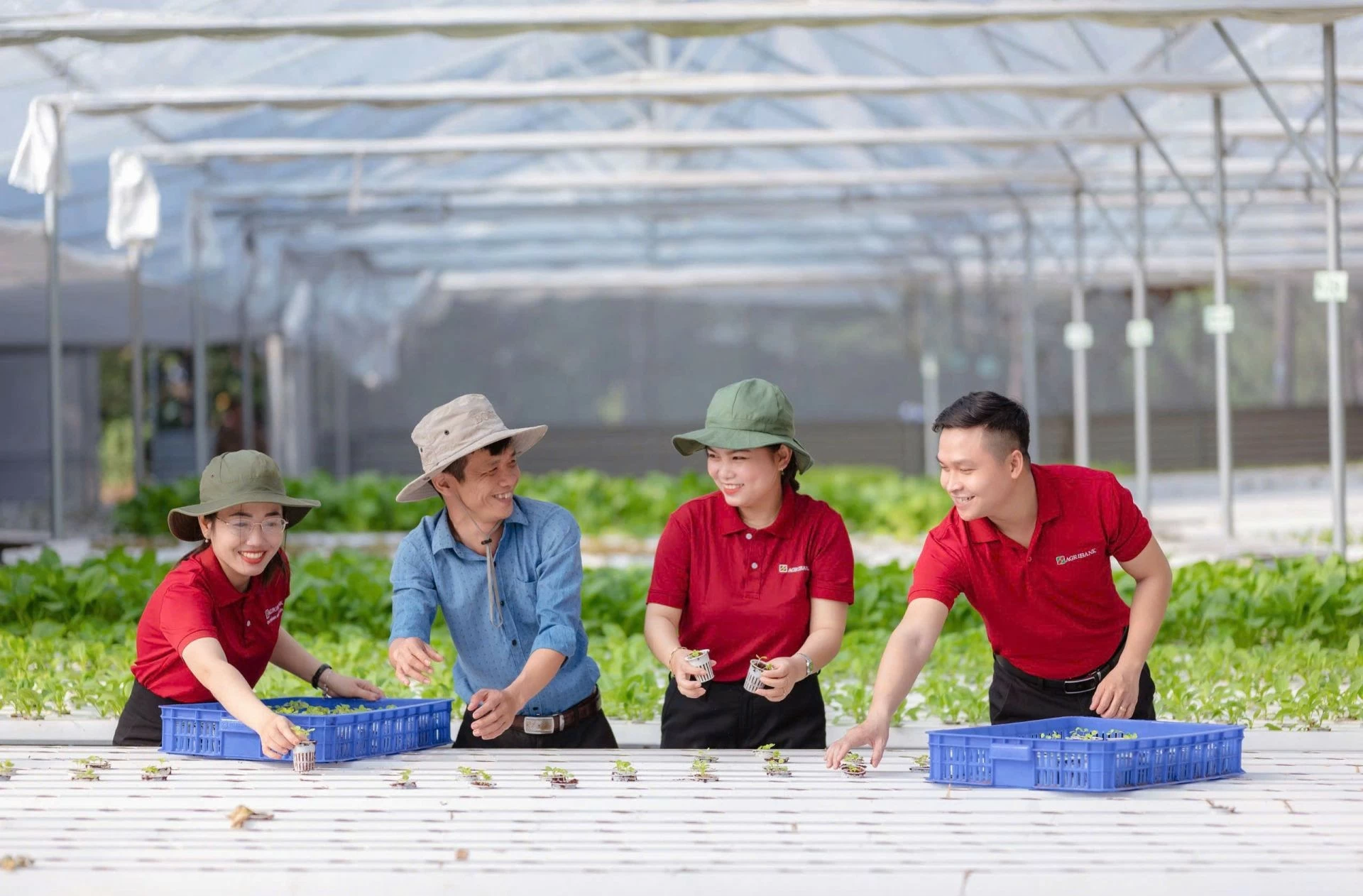 38 năm gắn liền với sứ mệnh đồng hành “tam nông”, Agribank bền bỉ khơi thông “mạch máu” tài chính, thúc đẩy tái cơ cấu ngành nông nghiệp và đưa nông sản Việt vươn tầm quốc tế.
