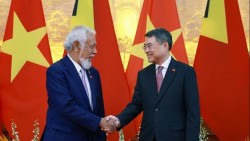 Thủ tướng Chính phủ Lê Minh Hưng hội đàm với Thủ tướng Timor-Leste