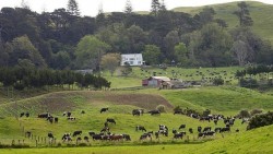 New Zealand kỳ vọng xuất khẩu nông nghiệp đạt mức kỷ lục
