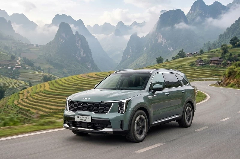 Cập nhật bảng giá xe hãng Kia mới nhất tháng 6/2026.