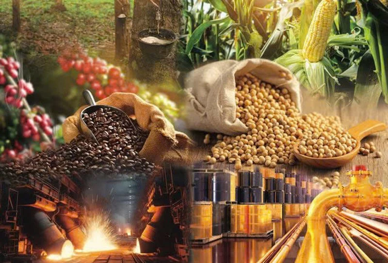 Ông Lê Đình Thành: Một thị trường nghìn tỷ đang thức giấc tại Việt Nam - Cơ hội thuộc về ai?