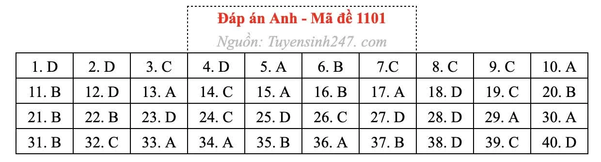 Gợi ý đáp án môn Tiếng Anh