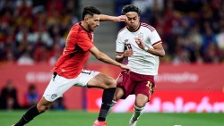 Dự đoán kết quả World Cup 2026: Từ Bạch tuộc Paul đến tiên tri AI