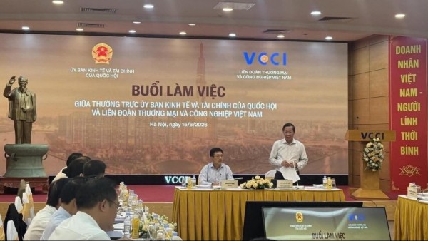 VCCI làm việc với Thường trực Ủy ban Kinh tế và Tài chính của Quốc hội: Tháo gỡ ‘áp lực kép’ cho doanh nghiệp tư nhân