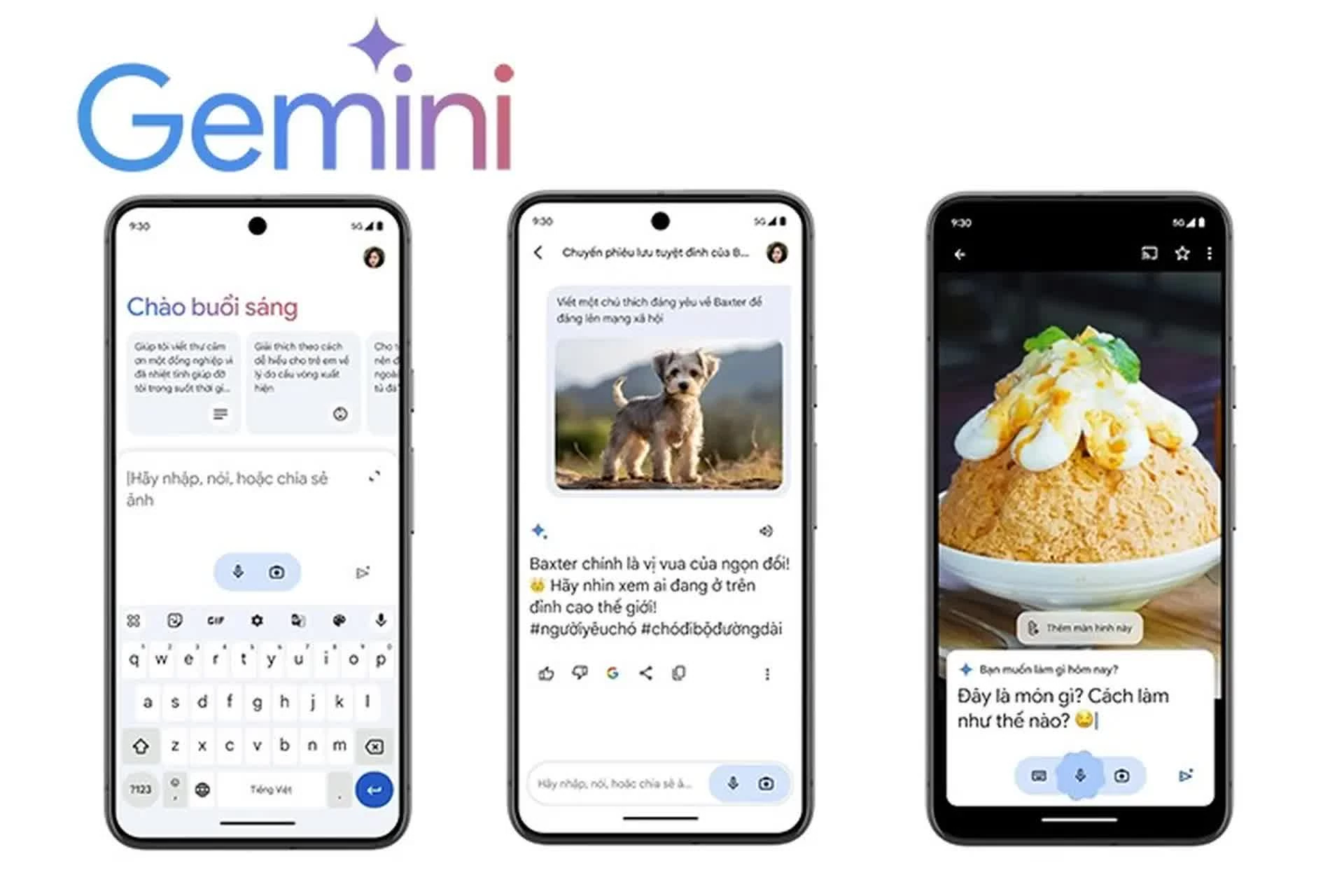 Việc sử dụng Gemini 3.5 Live Translate khá đơn giản đối với người dùng phổ thông. 