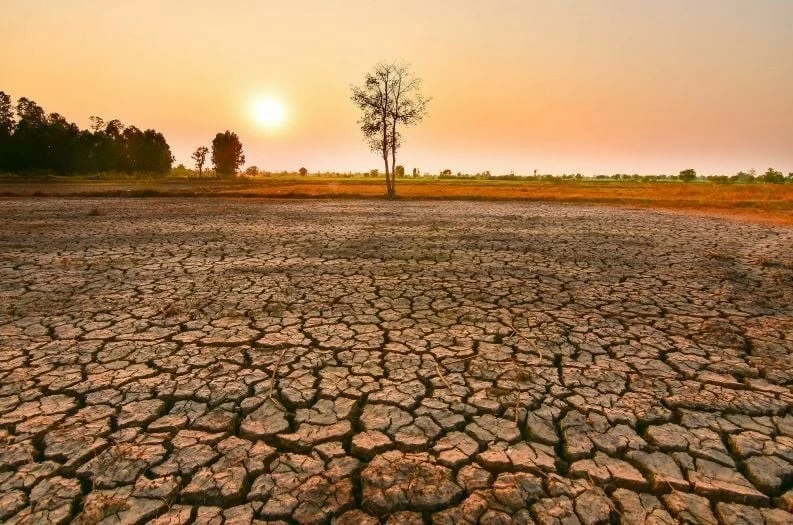 Hiện tượng El Nino được dự báo sẽ xuất hiện từ tháng 6-7/2026 và có thể kéo dài đến đầu năm 2027, làm gia tăng nguy cơ thiếu mưa, hạn hán và nhiệt độ cao hơn mức trung bình tại nhiều khu vực ở Thái Lan. (Nguồn: Thaiger)