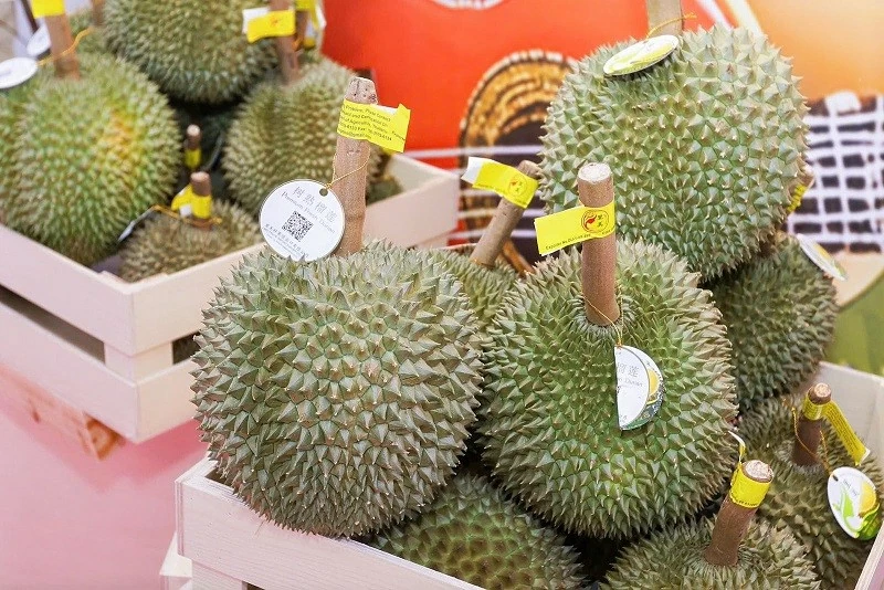 Trái cây ASEAN hội tụ tại Quảng Tây (Trung Quốc)