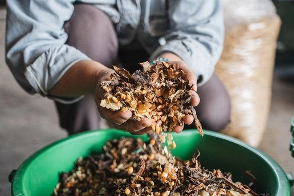 Từ phụ phẩm cacao đến hướng đi cho nông nghiệp xanh và phát triển bền vững Từ phụ phẩm cacao đến hướng đi cho nông nghiệp xanh và phát triển bền vững