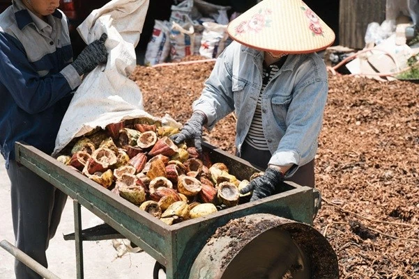 Từ phụ phẩm cacao đến hướng đi cho nông nghiệp xanh và phát triển bền vững Từ phụ phẩm cacao đến hướng đi cho nông nghiệp xanh và phát triển bền vững