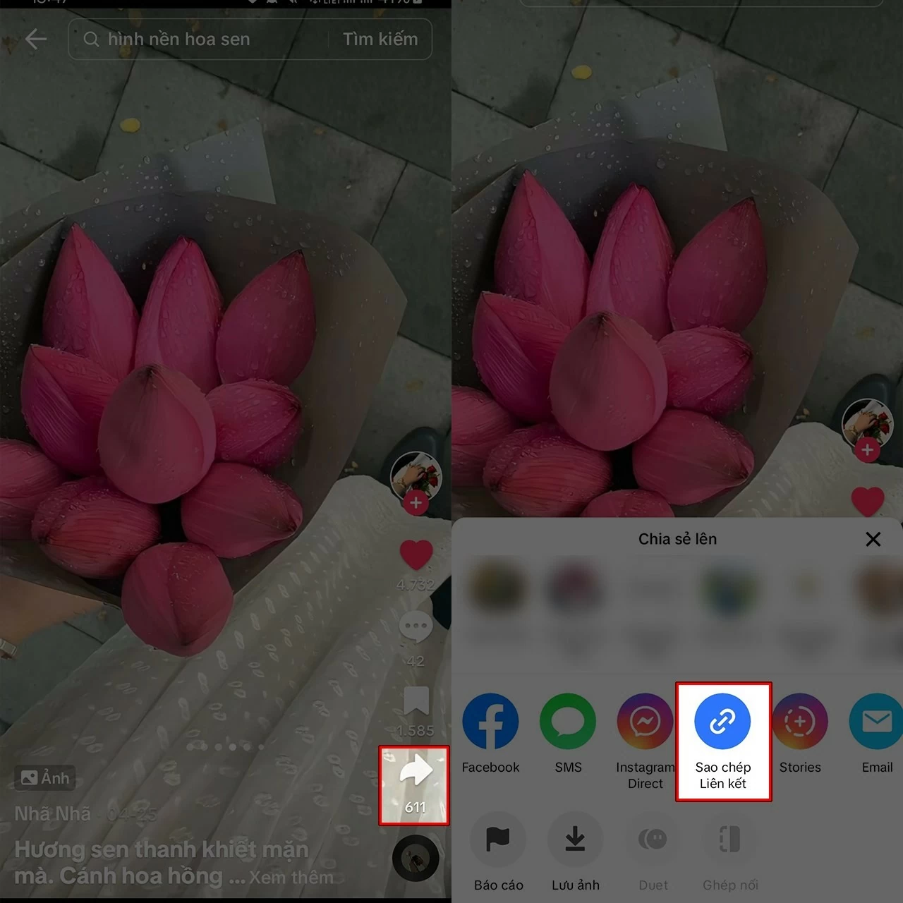 Mở bài đăng hoặc video TikTok chứa ảnh cần tải. Mở bài đăng hoặc video TikTok chứa ảnh cần tải.