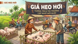 Giá heo hơi hôm nay 27/6: Nhiều địa phương miền Bắc đồng loạt giảm, miền Trung Tây Nguyên và miền Nam ổn định, cao nhất 67.000 đồng/kg