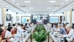 Bộ Ngoại giao hỗ trợ doanh nghiệp thúc đẩy hợp tác với Australia và New Zealand
