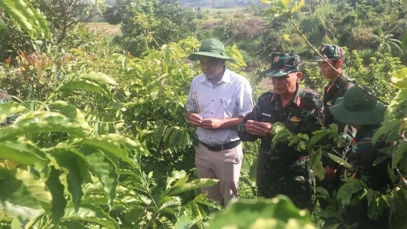 Đắk Lắk: Xã Krông Bông quy tập được 2 hài cốt liệt sĩ tại khu vực núi Đá Đen, dưới chân dãy núi Chư Yang Sin
