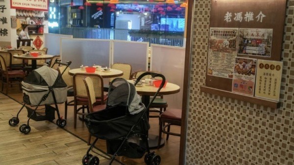 Hong Kong mở cửa đón 'thực khách bốn chân', kỳ vọng thúc đẩy nền kinh tế thú cưng