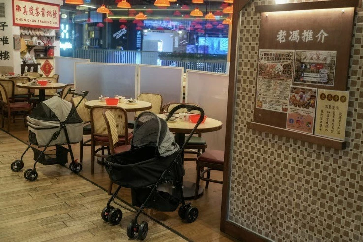 Ông Fung Man-kit, chủ quán trà Old Fung, cho biết những người nuôi thú cưng đã bày tỏ sự quan tâm mạnh mẽ đến chương trình này. (Ảnh: Sun Yeung) Ông Fung Man-kit, chủ quán trà Old Fung, cho biết những người nuôi thú cưng đã bày tỏ sự quan tâm mạnh mẽ đến chương trình này. (Ảnh: Sun Yeung)