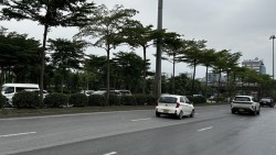 Dự báo thời tiết 10 ngày tới (5-15/7): Các khu vực chiều tối, đêm mưa rào, dông; mưa to cục bộ đến rất to tại Bắc Bộ có xu hướng giảm dần