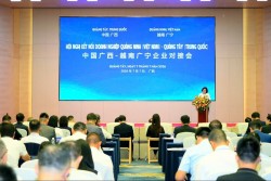 Thúc đẩy hợp tác đầu tư, thương mại và kết nối chuỗi cung ứng Quảng Ninh (Việt Nam)-Quảng Tây (Trung Quốc)