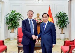 Bộ trưởng Ngoại giao Lê Hoài Trung tiếp Tổng Thư ký Bộ châu Âu và Ngoại giao Pháp
