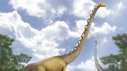 Tìm thấy hóa thạch loài khủng long cổ dài quý hiếm tại Thái Lan