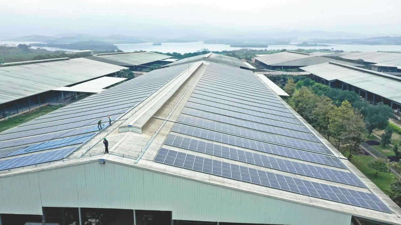 TH thúc đẩy hành trình Net Zero bằng những bước đi cụ thể