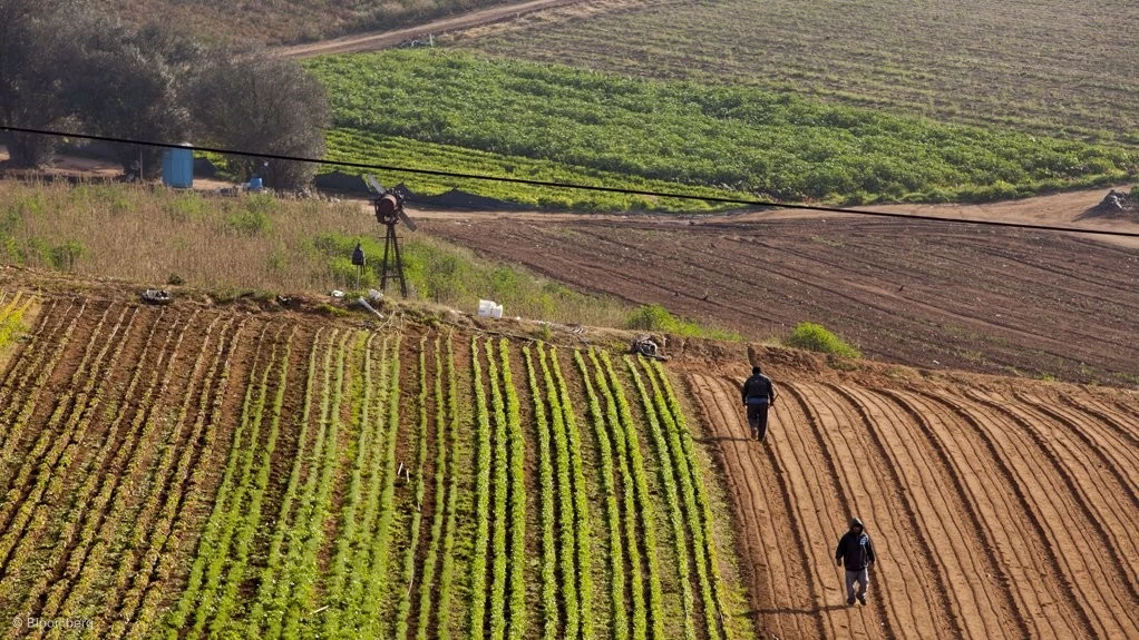 Châu Phi cận Sahara: Động lực tăng trưởng mới của nông nghiệp toàn cầu. (Nguồn: Bloomberg)
