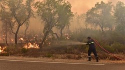 Nắng nóng 46°C châm ngòi cháy rừng tại Morocco, lực lượng chức năng căng mình khống chế hỏa hoạn