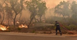 Nắng nóng 46°C châm ngòi cháy rừng tại Morocco, lực lượng chức năng căng mình khống chế hỏa hoạn