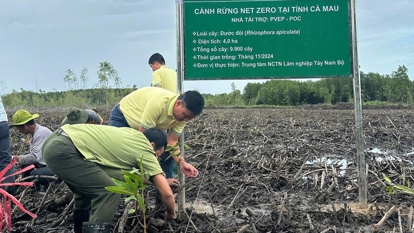 PVEP chung tay ‘vun đắp lá phổi xanh’ cho tương lai