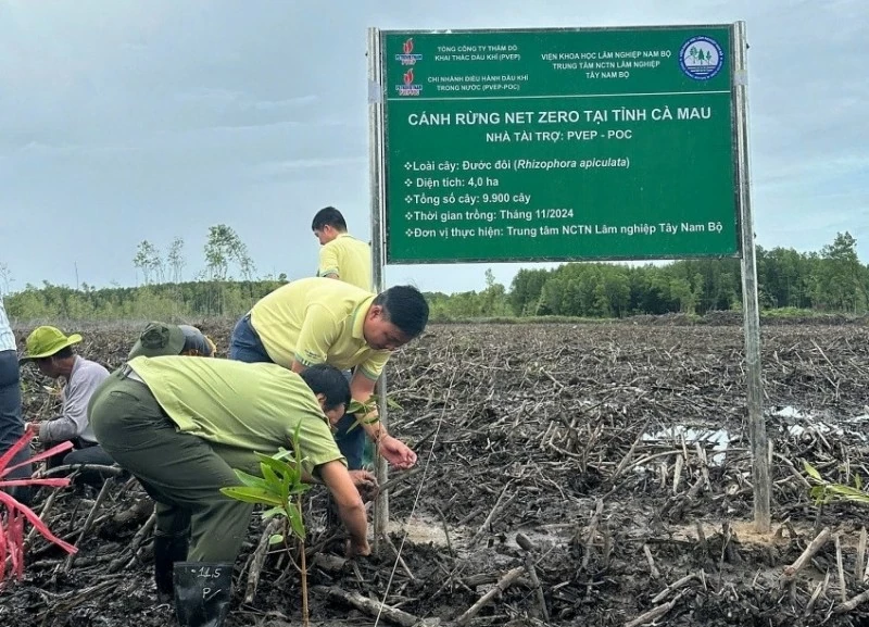 PVEP chung tay &lsquo;vun đắp l&aacute; phổi xanh&rsquo; cho tương lai