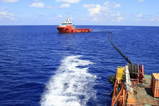 PVEP chung tay ‘vun đắp lá phổi xanh’ cho tương lai