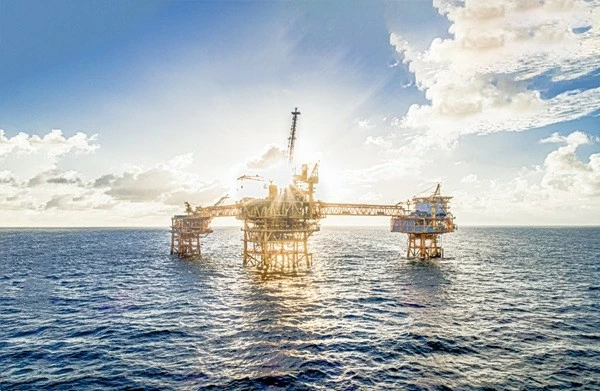 PVEP chung tay ‘vun đắp lá phổi xanh’ cho tương lai PVEP chung tay ‘vun đắp lá phổi xanh’ cho tương lai