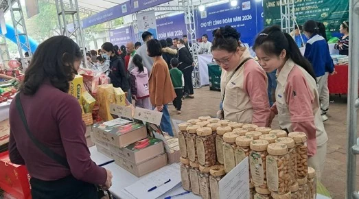 Hạt điều Hapro hiện được phân phối rộng rãi trong hệ thống Siêu thị Haprofood/BRGMart, Fujimart, Hội Chợ Xuân hàng năm, Chợ Tết Công đoàn , Tết sum vầy tại Hà Nội.
