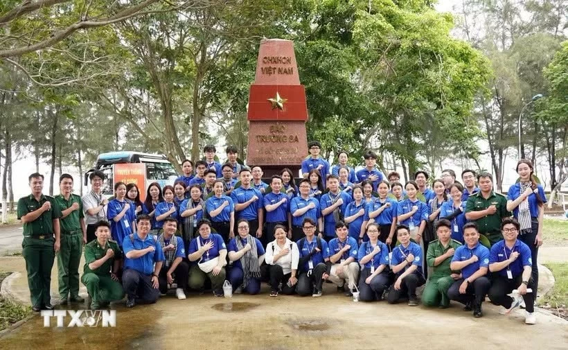 Đội hình tình nguyện Du học sinh Việt Nam tại quê hương