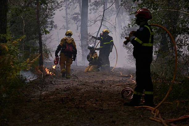 Lính cứu hỏa khống chế đám cháy tại rừng Fontainebleau, Pháp, ngày 15/7. (Nguồn: Getty Images)
