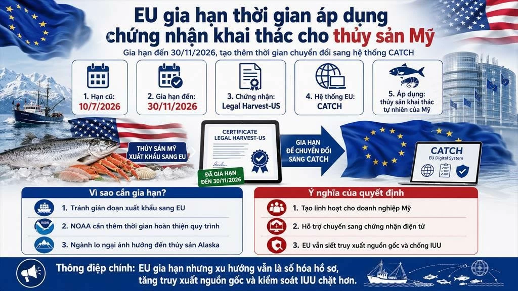EU gia hạn thời gian áp dụng chứng nhận khai thác cho thủy sản Mỹ, tín hiệu gì cho Việt Nam? EU gia hạn thời gian áp dụng chứng nhận khai thác cho thủy sản Mỹ, tín hiệu gì cho Việt Nam?