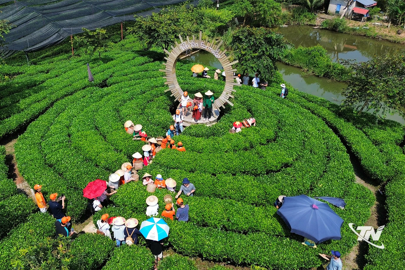 Du khách thích thú trải nghiệm. 