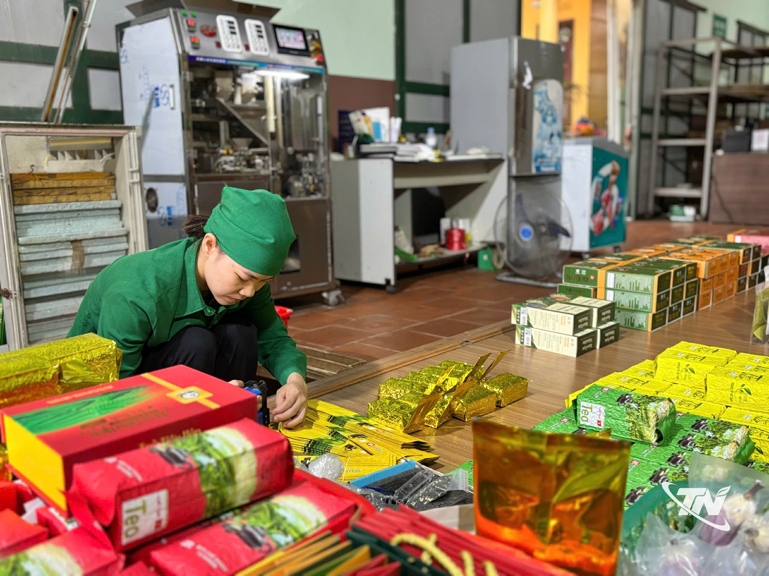 Sản phẩm trà Tân Cương đạt chuẩn OCOP, chứng nhận hữu cơ với đầy đủ thông tin truy xuất
