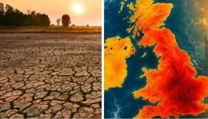 Malaysia đối mặt nguy cơ hứng chịu cơ siêu El Niño utusansarawak Malaysia đối mặt nguy cơ hứng chịu cơ siêu El Niño utusansarawak