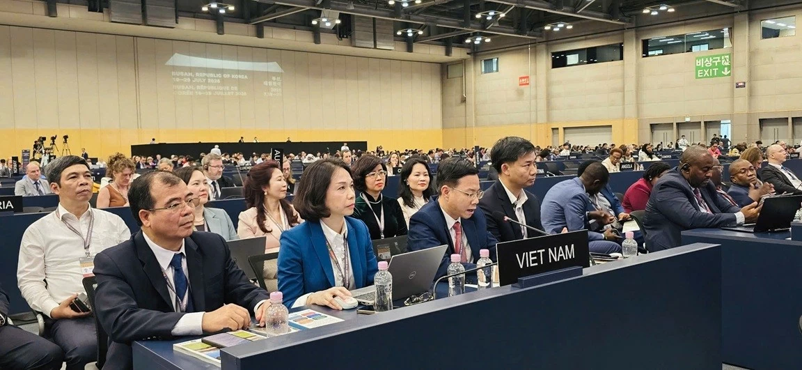 Việt Nam - UNESCO