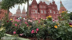 Tổng thống Putin: Kinh tế Nga duy trì ổn định, khó khăn trên thị trường nhiên liệu chỉ là tạm thời
