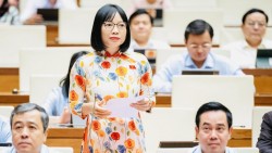 Sắp xếp trường học: Không chỉ là tinh gọn bộ máy
