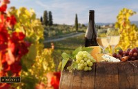 gop y xay dung du an luat phong chong tac hai cua ruou bia