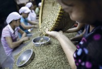 Nông nghiệp Việt trước ngưỡng cửa FTA