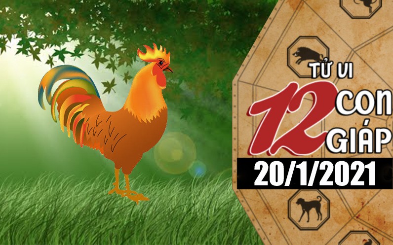 Tuổi Thìn tình duyên thuận lợi, tuổi Dậu tài chính nở hoa Tử vi hôm nay - Xem tử vi vui 12 con giáp ngày 20/1: Tuổi Thìn tình duyên thuận lợi, tuổi Dậu tài chính nở hoa