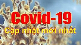 Covid-19