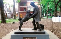 trung quoc co gai 20 tuoi lam nghe nuoi day cho soi